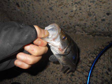 翌日は不調…。