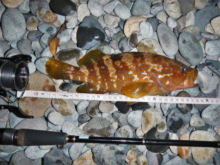 良い引きでした