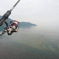 ゴロタサーフの根魚