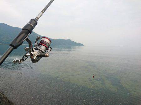ゴロタサーフの根魚