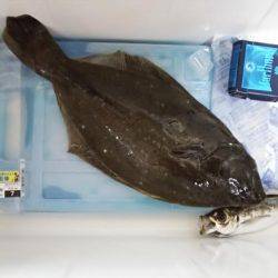 川棚港周辺にて