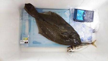 川棚港周辺にて