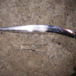 釣り人のマナー