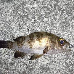 大阪からの帰りに、