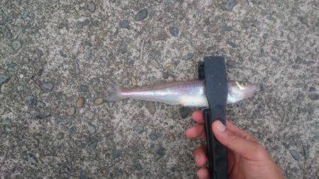 那佐湾と浅川漁港