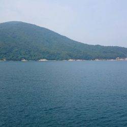 海水浴ついでに