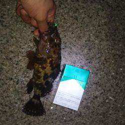 意地のガシリング