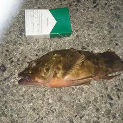 ひさしぶりの良形!