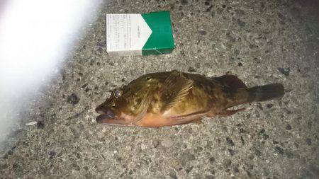 ひさしぶりの良形！