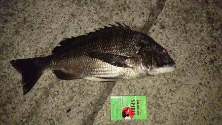 仕事帰りにぶらり