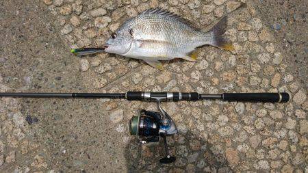 crowでトップゲーム