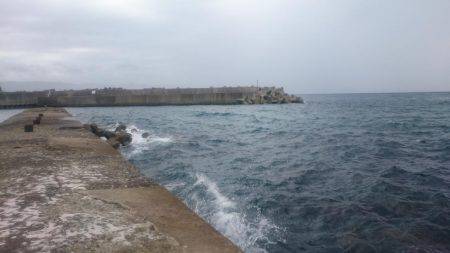 初めての甲イカ！