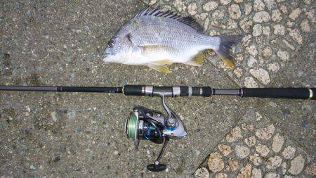 トップチニング