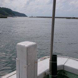 今年初イカメタル