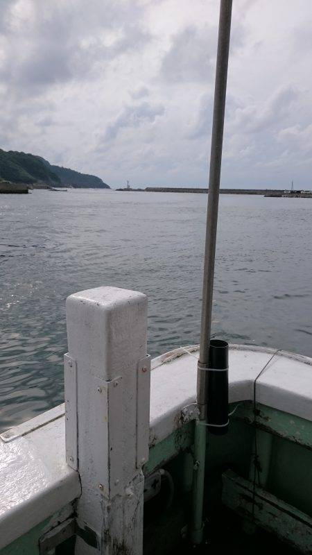 今年初イカメタル