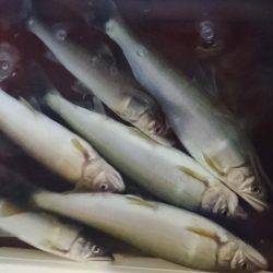 大増水で・・・