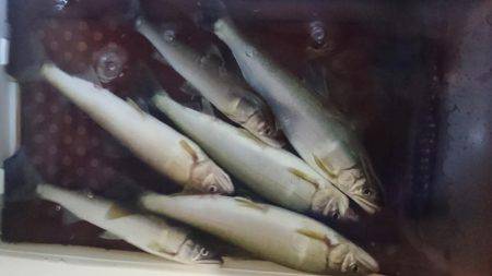 大増水で・・・