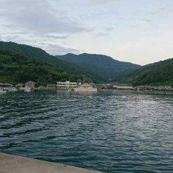 快晴！蝉！そして、ナブラ！