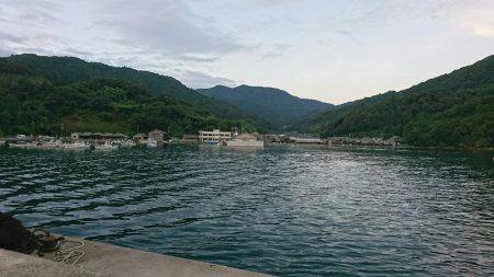 快晴！蝉！そして、ナブラ！