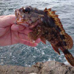 ホテルでフィッシング