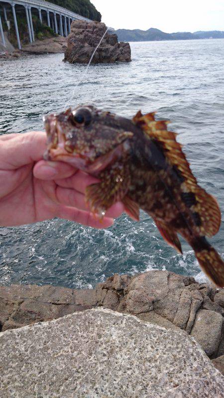 ホテルでフィッシング