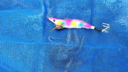 ファミリーフィッシング