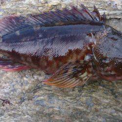 人多く賑わった漁港