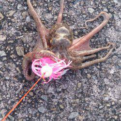 ハズレを重ねて