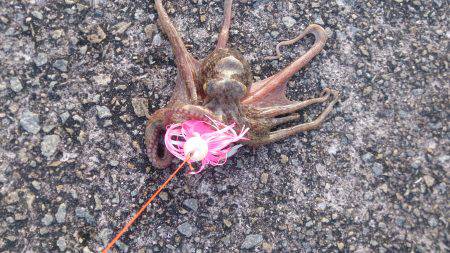 ハズレを重ねて