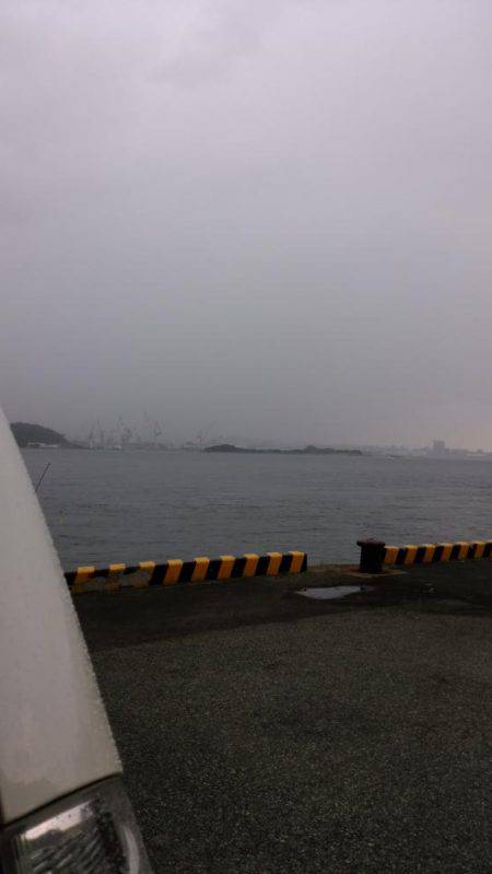 雨上がりのヒラマサ