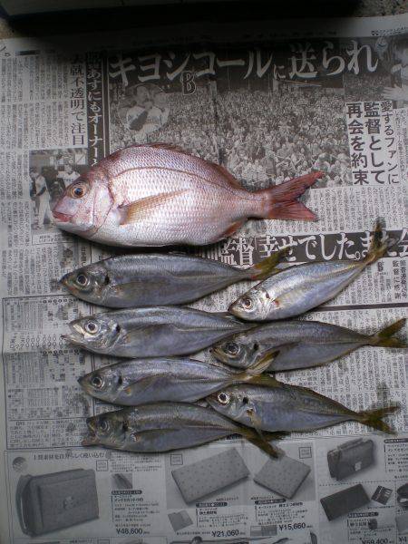 のんびりと夜釣り