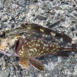 タイミング良く…