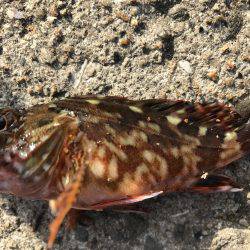 あまりの暑さに…。