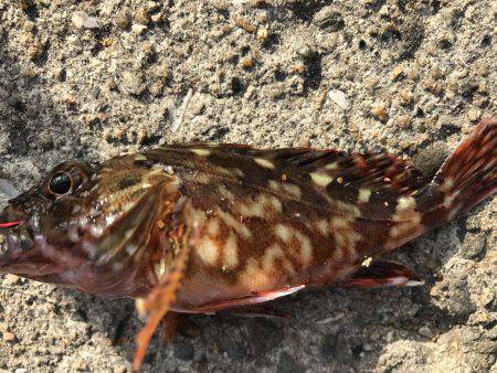 あまりの暑さに…。