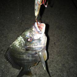 仕事帰りの定期巡回