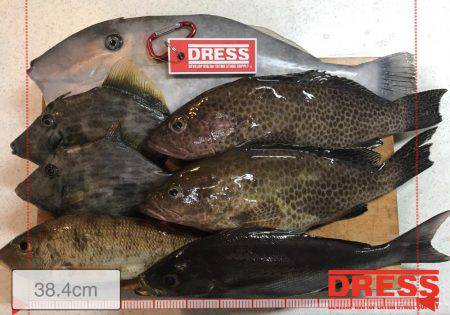 南塩屋でエサ釣り&タイラバ