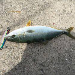 ニューロッド入魂