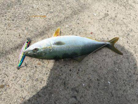 ニューロッド入魂