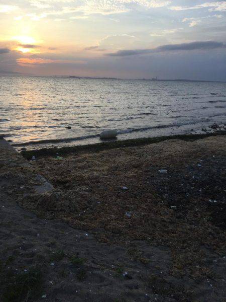 今日も仕事帰りにチヌポッパー