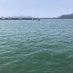 サビキで豆アジとその他!