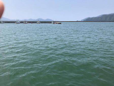 サビキで豆アジとその他!