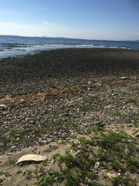 久々のチニング