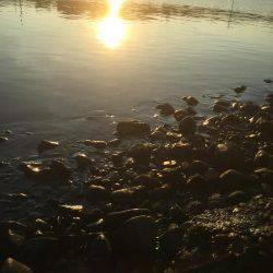 出勤前チニング