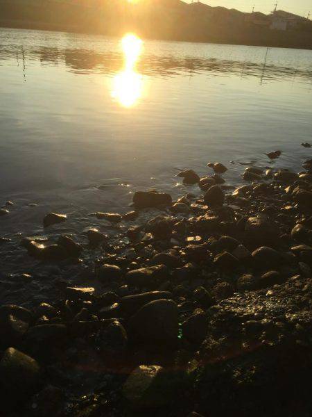 出勤前チニング