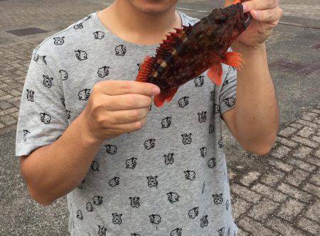 カサゴ30センチ、アコウ25センチ、イシダ…