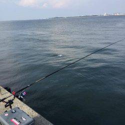 岸和田フカセ釣り