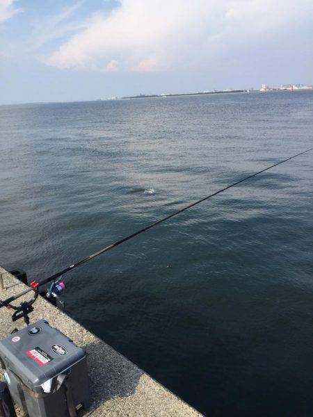 岸和田フカセ釣り