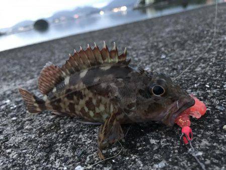 困ったときのガッシー