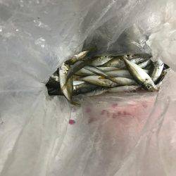 釣りもアフターファイブ