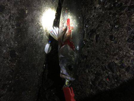 大潮干潮からスタート